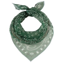 Len�o de Seda Paisley by Fraas - 39,95 �