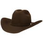 Chapéu de Cowboy The Valley 4X Buffalo by Stetson castanho
