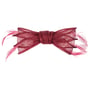 Clip de Cabelo com Penas Alicia by Seeberger vermelho