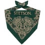 Bandana Paisley by Stetson verde escuro