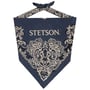 Bandana Paisley by Stetson azul
