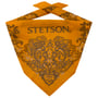 Bandana Paisley by Stetson amarelo