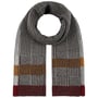 Cachecol Masculino Tricolour by Lipodo antracite