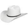 Chapéu de Palha Vanlesco Western Toyo by Stetson branco