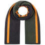 Cachecol de Lã Merino Stripes by Stetson antracite - verde