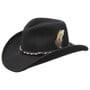 Chapéu Western Amasa VitaFelt by Stetson preto