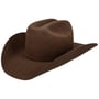 Chapéu Western Lightning 4X Wool by Bailey 1922 castanho