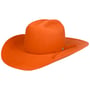 Chapéu Western Payson 2X Wool by Bailey 1922 terracota