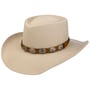 Chapéu Western Ellsworth Teardrop by Bailey 1922 aveia