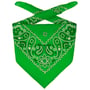 Cachecol Bandana by Lipodo verde
