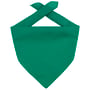 Bandana Goal verde escuro