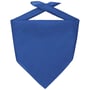 Bandana Goal real - azul